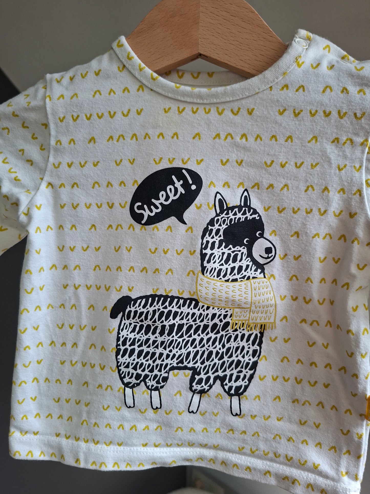 T-shirt lama