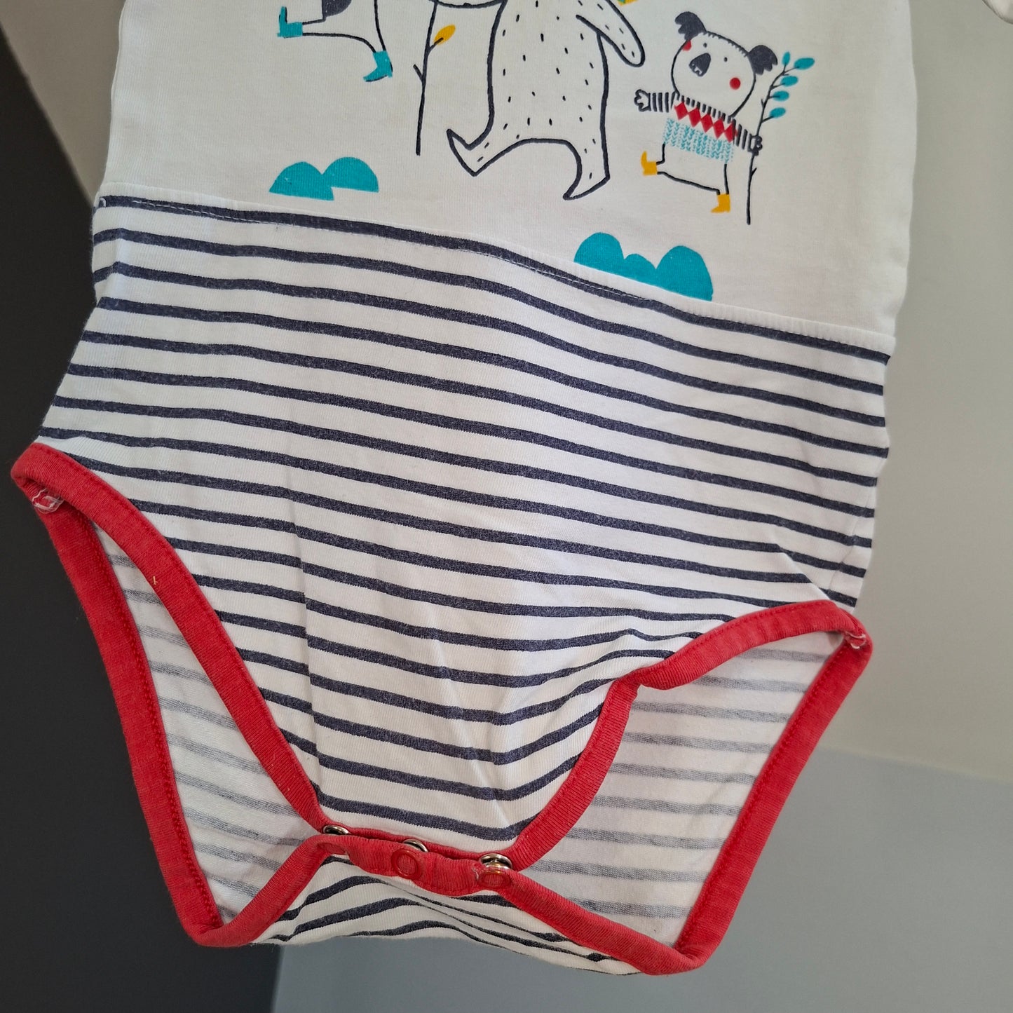 Body animaux