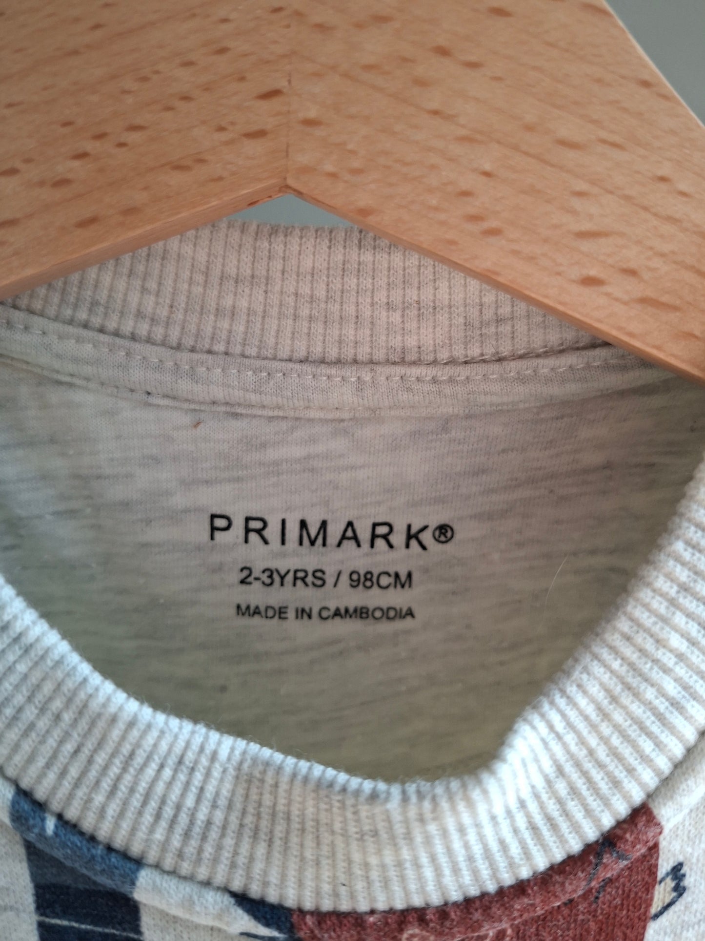 Pull gris dinosaures