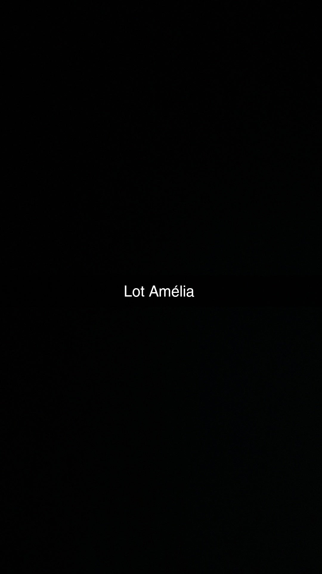 Lot Amelia