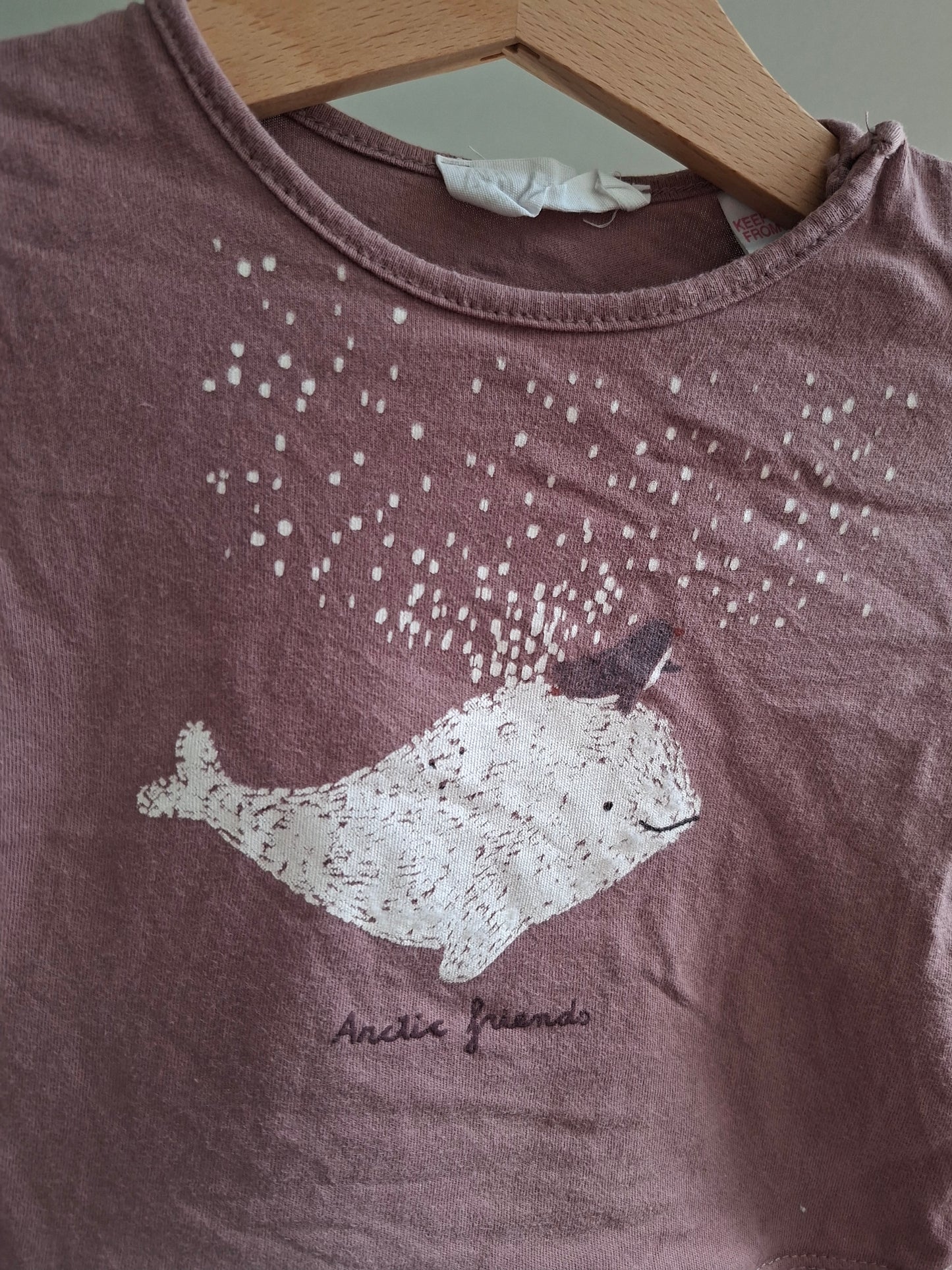 T-shirt baleine