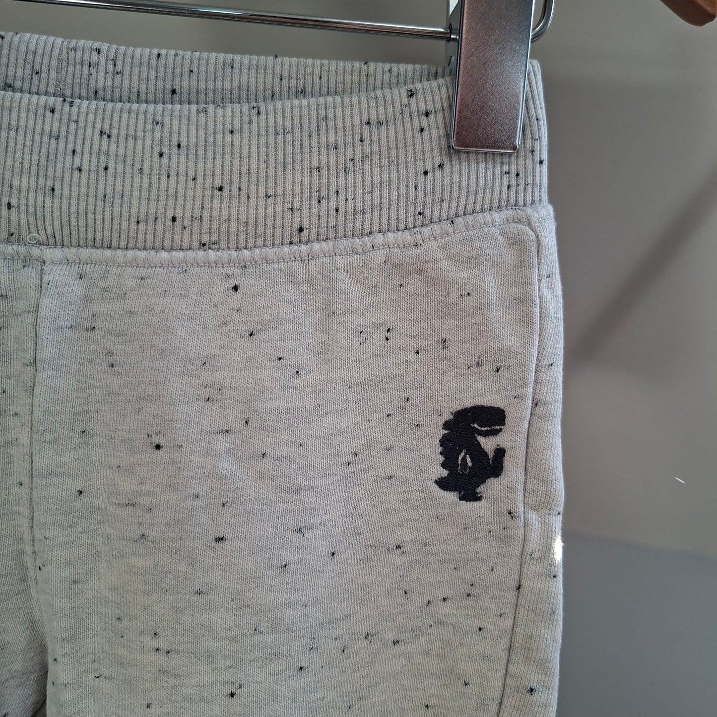 Jogging gris dino