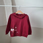 Pull bordeau 5 ans