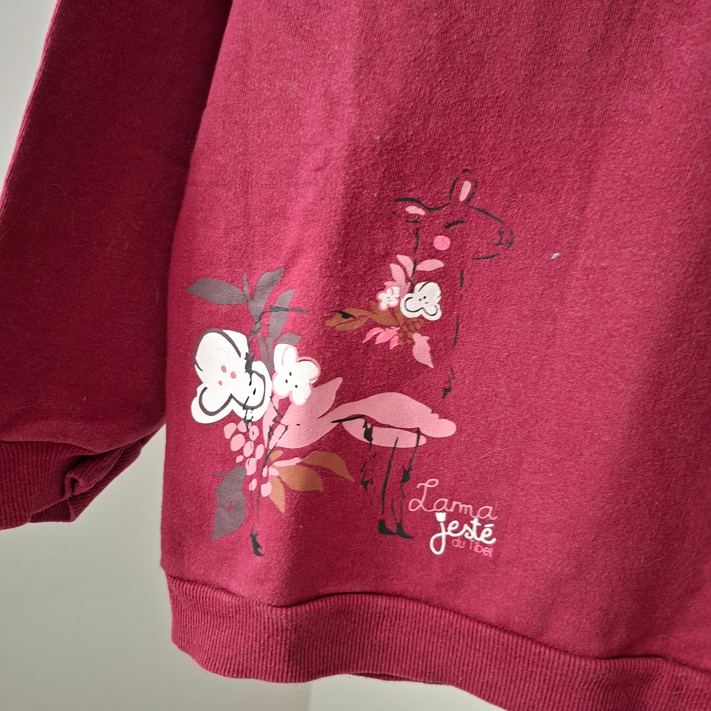 Pull bordeau 5 ans