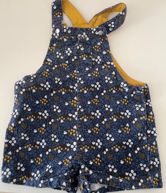 Salopette marine 1 an