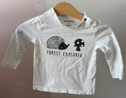 T-shirt hérisson 6mois