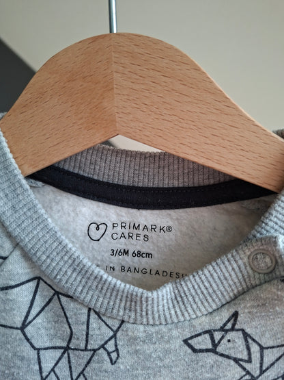 Pull dinosaures