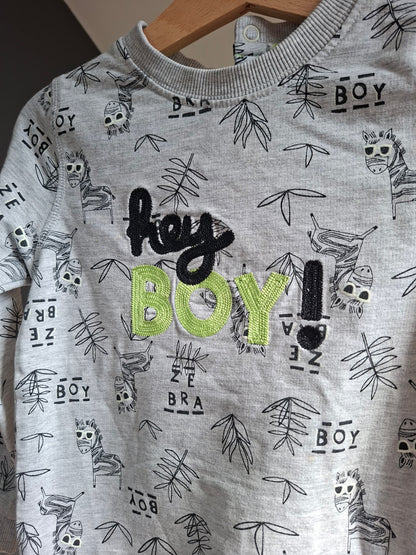 Pull zèbres