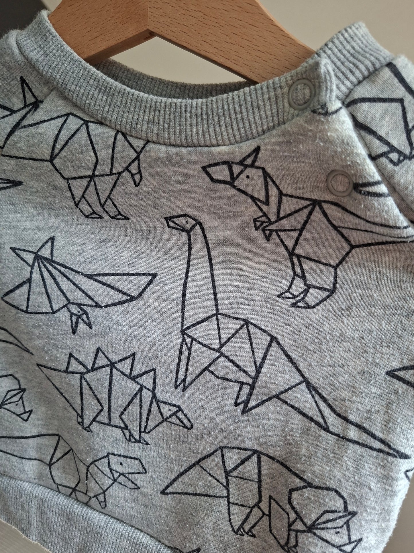 Pull dinosaures