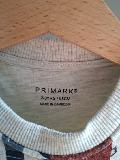 Pull gris dinosaures