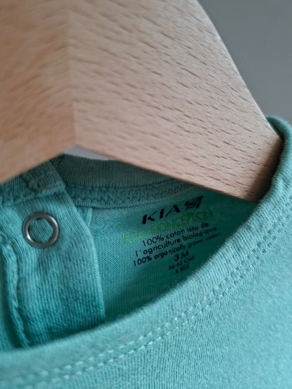 Combi-short verte