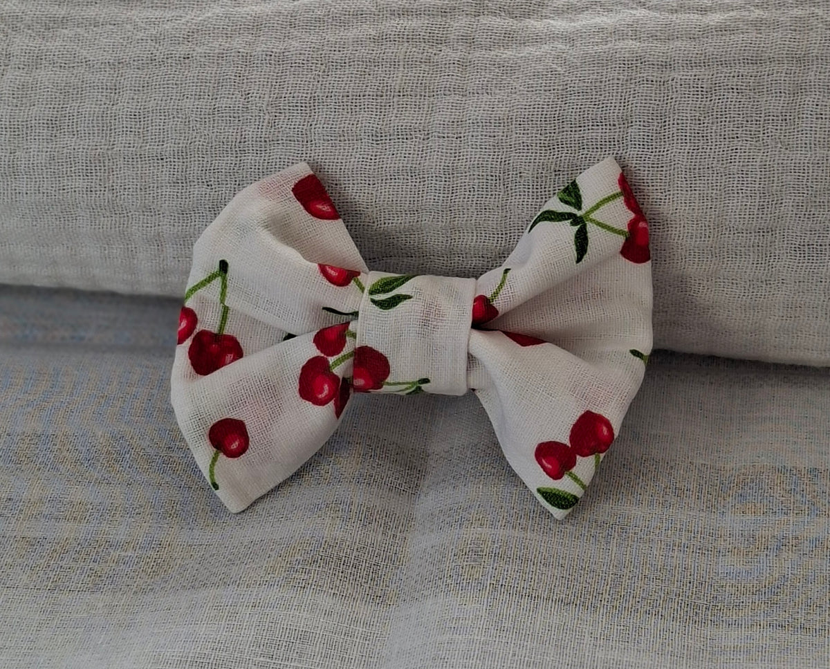 Barrette clip