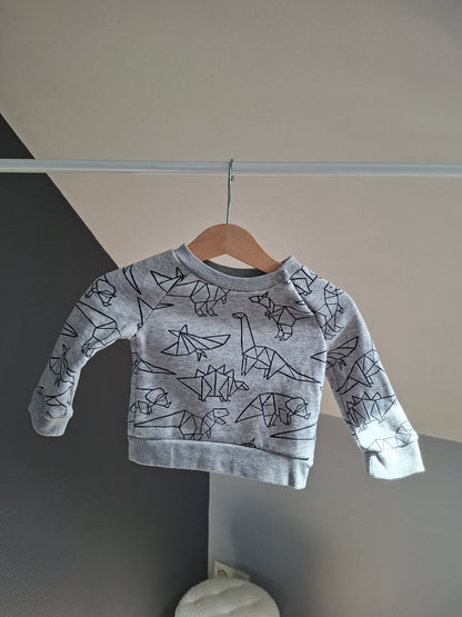 Pull dinosaures