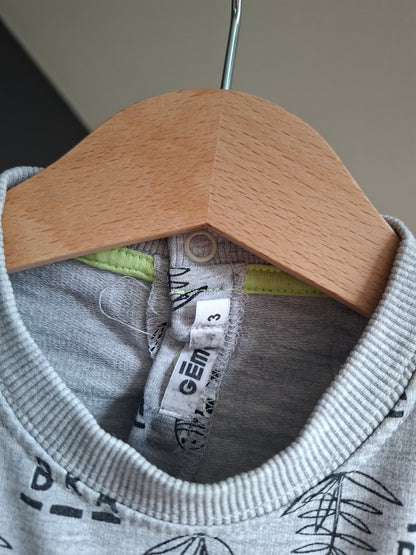 Pull zèbres