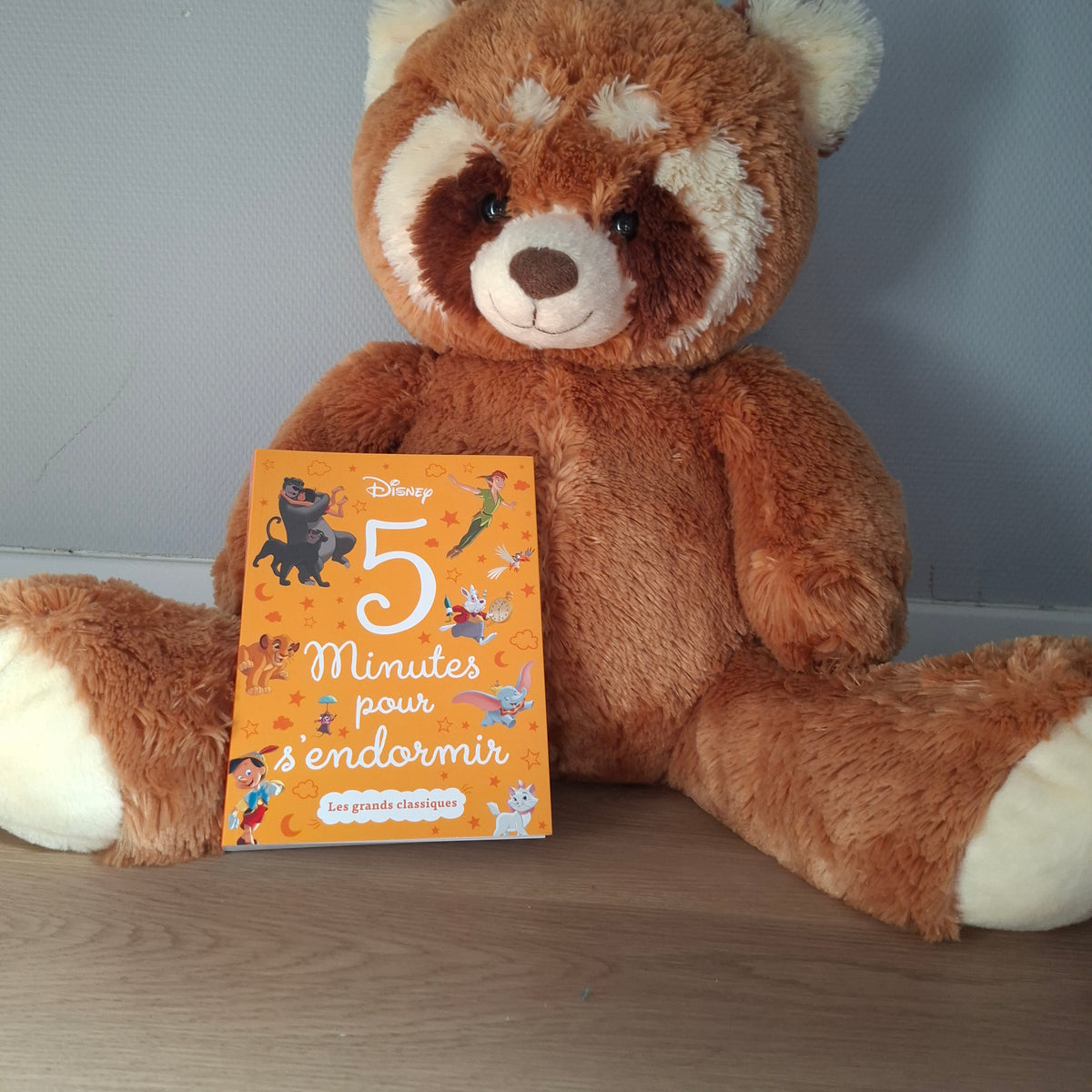 Livre Disney "5 minutes pour s'endormir"
