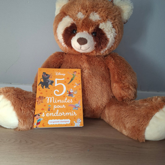 Livre Disney "5 minutes pour s'endormir"