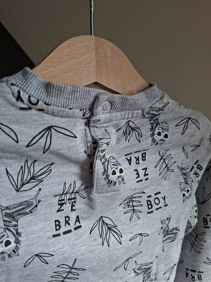 Pull zèbres