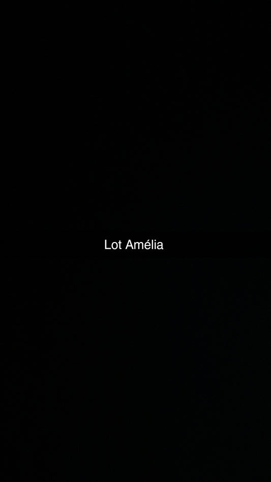 Lot Amelia