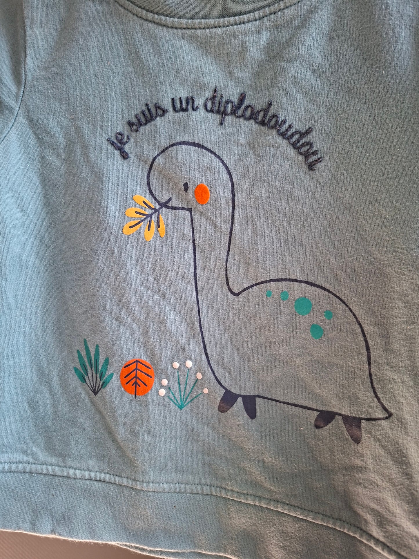 Pull diplodoudou