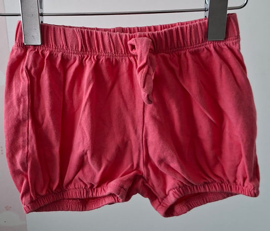 Short rose 18 mois