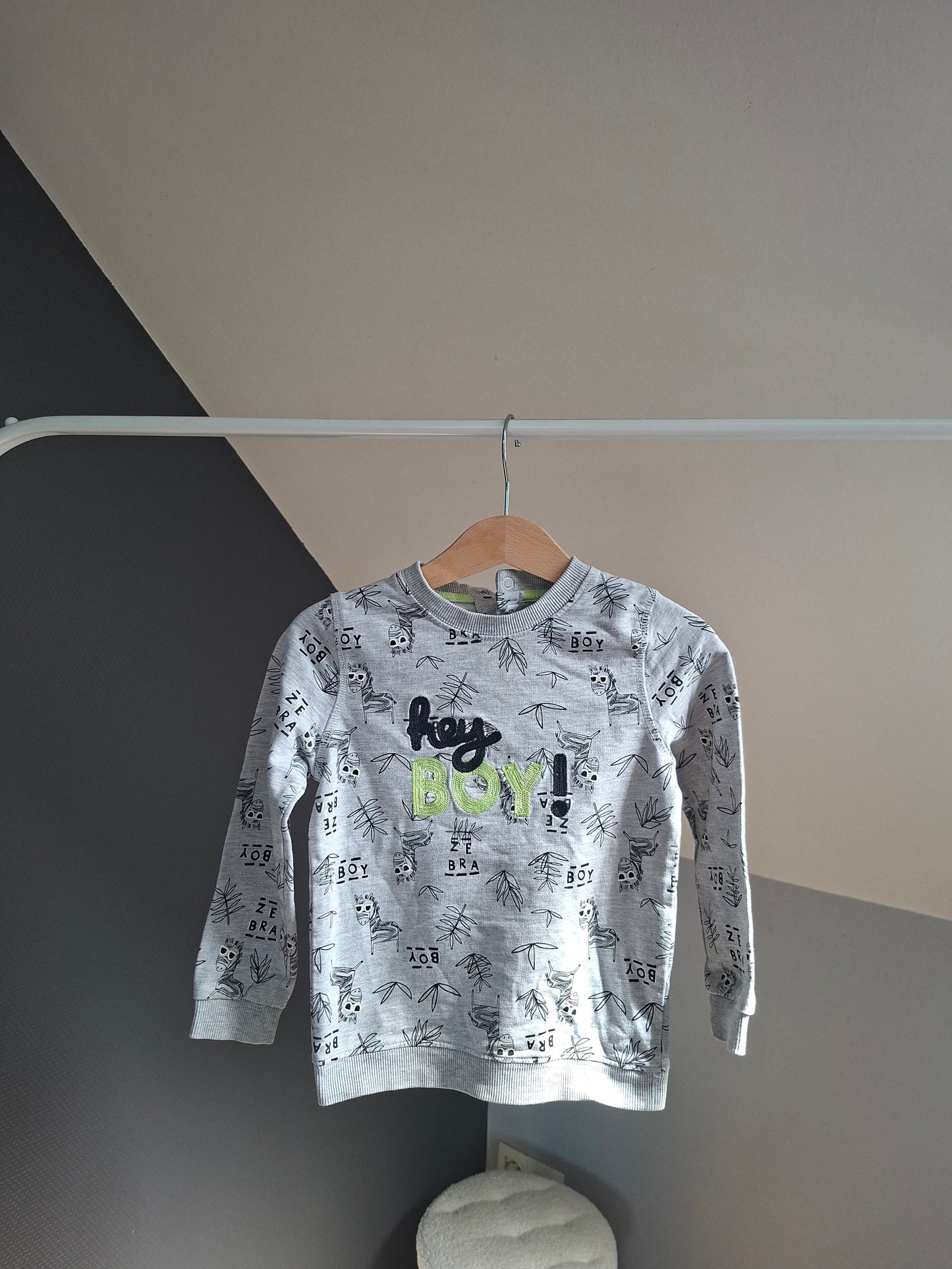 Pull zèbres