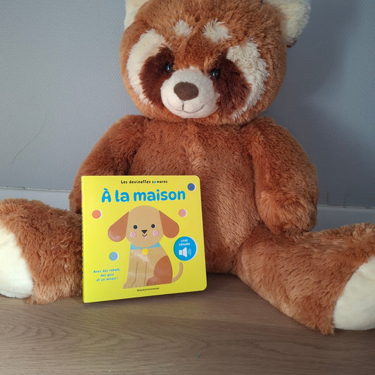 Livre " A la maison ! "
