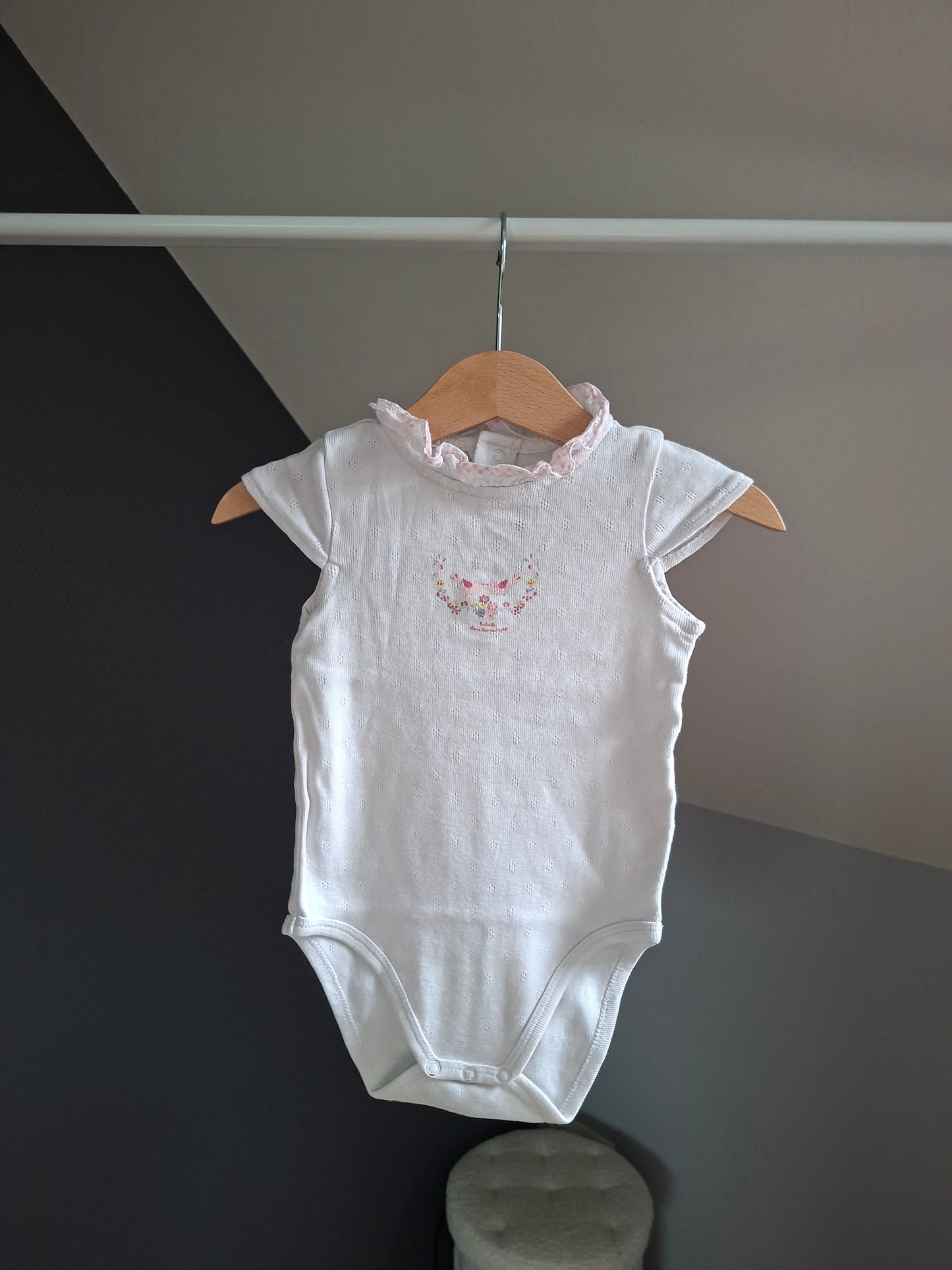 Body oiseaux