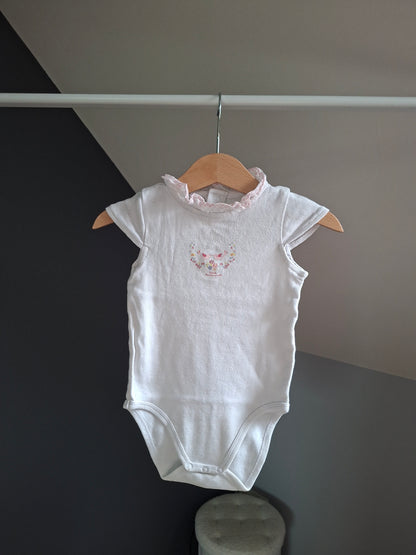 Body oiseaux